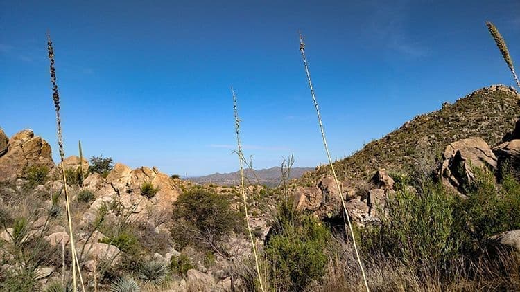 Catalina State Parks Outdoors Nature Mountains, Oro Valley AZ