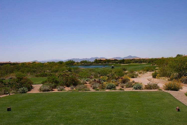 Rancho Vistoso Golf Course Tee Box Views, Oro Valley AZ