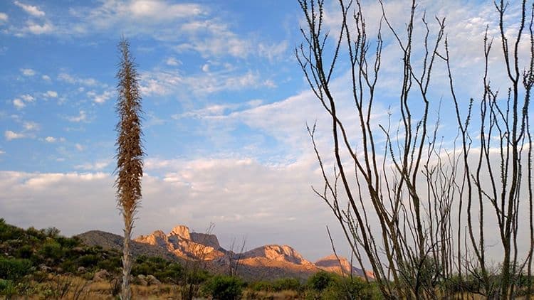 Catalin State Parks Mountains View, Oro Valley AZ