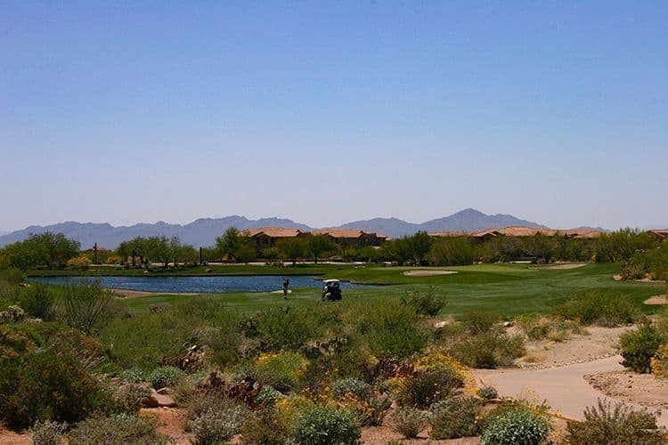 Rancho Vistoso Golf Course Fairway Views, Oro Valley AZ